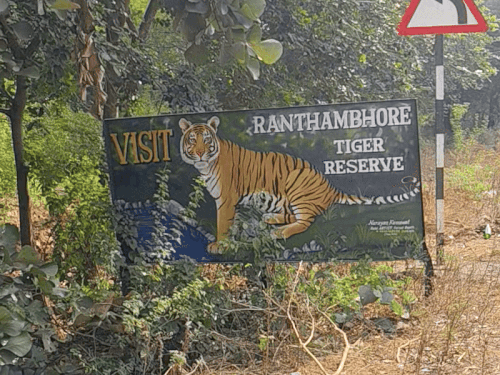 Dash cameras will be installed on tourist vehicles in Ranthambore. | रणथंभौर के पर्यटन वाहनों पर लगेगा डेश कैमरा: पर्यटन वाहनों को टाइगर के पास जाने से रोकने के लिए आदेश जारी – Sawai Madhopur News