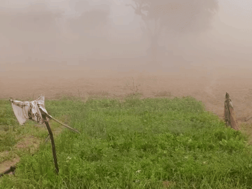 Bone-chilling cold in Sikar, minimum temperature 4.5 degrees | सीकर में हाड़ कंपकंपाने वाली सर्दी, न्यूनतम तापमान 4.5 डिग्री: आज सुबह गलन बढ़ी, खेतों में छाया कोहरा, 11 जनवरी तक राहत नहीं – Sikar News