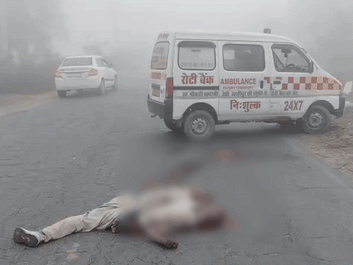 Uttarakhand Colder Than Switzerland; Himachal Cold Wave; Fog Hits UP, Rajasthan