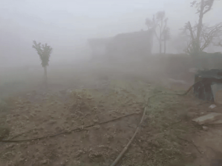 The effect of cold is severe in Udaipur | उदयपुर में सर्दी का असर तेज: गोगुंदा में 0 डिग्री पहुंचा तापमान, खेतों में जमी बर्फ की परत; हाइवे पर 100 फीट देखना भी मुश्किल हुआ – Udaipur News