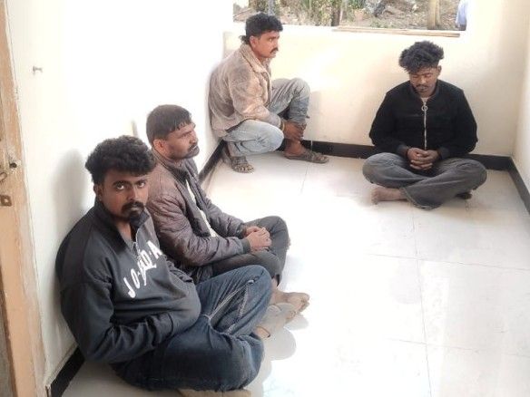 पार्टी करने के लिए किया राष्ट्रीय पक्षी का शिकार:छर्रे लगे मिले मृत मोर की बॉडी में, चार आरोपी गिरफ्तार