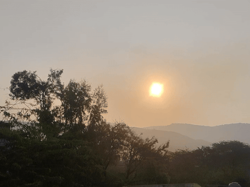 सवाई माधोपुर में तापमान में एक डिग्री की गिरावट:ठंडी हवाओं से अधिकतम और न्यूनतम तापमान में हुई गिरावट