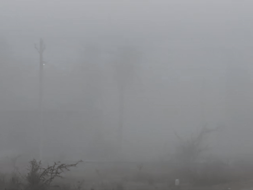 तेज बारिश के बाद सुबह कोहरा, फिर खिली धूप:चित्तौड़गढ़ जिले के कनेरा घाटा में ओलावृष्टि, सोमवार को भी बारिश का अलर्ट जारी