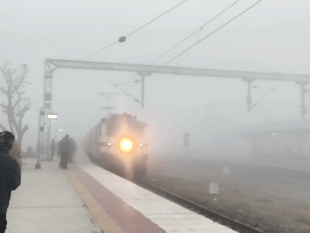 नागौर में कोहरे से जनजीवन प्रभावित:कोहरे को वजह से रेल यातायात भी प्रभावित प्रमुख ट्रेंनें आधे घंटे तक देरी से पहुंची, हाइवे पर विजिब्लिटी 10 मीटर