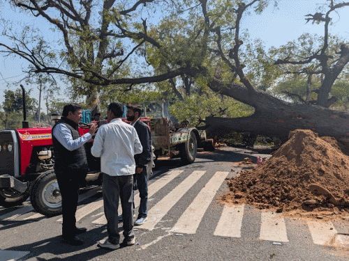 चाकसू में पेड़ों की कटाई, पूर्व विधायक ने किया विरोध:फोरलेन के निर्माण के लिए काटे जाएंगे 460 पेड़; वेद प्रकाश सोलंकी ने सीएम से काम रुकवाने की मांग की