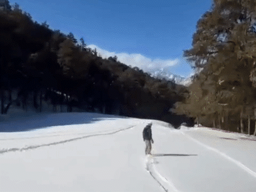 Weather IMD Forecast Update; UP Uttarakhand Bihar Dense Fog Alert