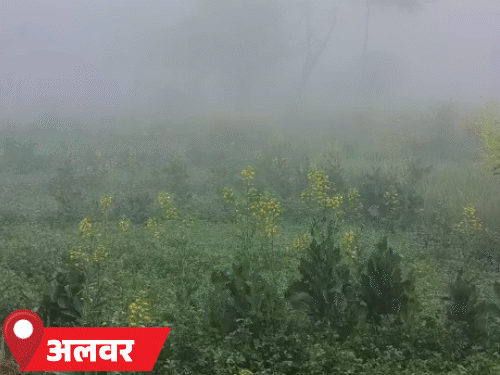 राजस्थान में पारा 32 डिग्री के ऊपर पहुंचा:फतेहपुर, नागौर सबसे ठंडे; जानिए, अगले 5 दिन तक कैसा रहेगा मौसम