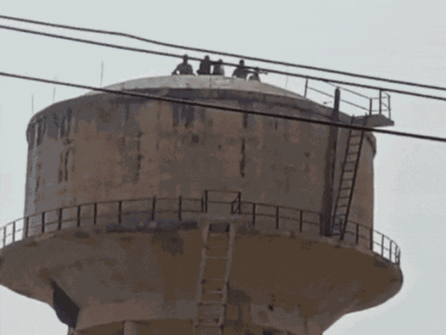 प्रदर्शन करने टंकी पर चढ़े लोग,मधुमक्खियों ने हमला किया, VIDEO:जान बचाने के लिए 4 युवक नीचे उतर गए; 2 युवकों की हालत गंभीर