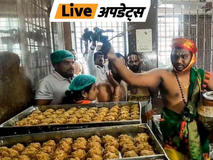 Rajasthan, Delhi, MP, UP, Maharashtra, Mumbai