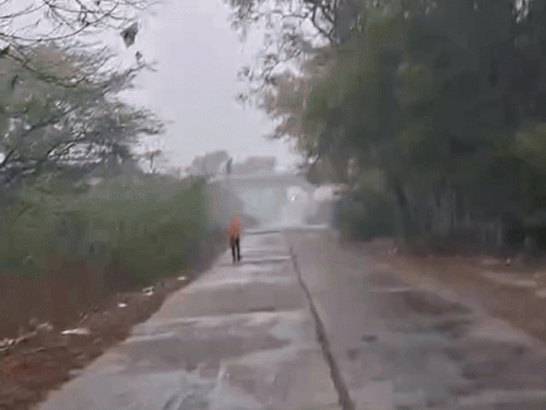 कोटा में धुंध छाई:दिन का तापमान गिरा, हाड़ौती संभाग में कोहरे व बारिश का येलो अलर्ट