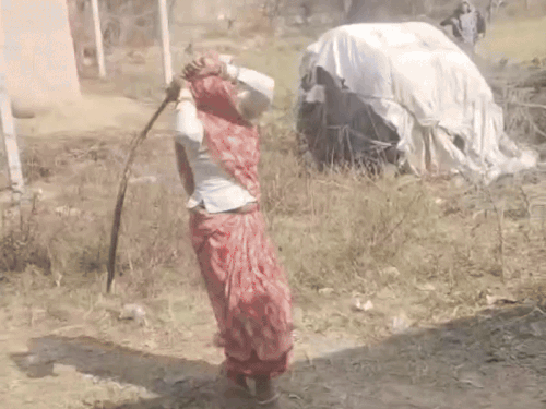 एक बीघा जमीन पर झगड़ा,जमकर लाठी-डंडे चले,VIDEO:3 घायल एक की हालात गंभीर,पीड़ित ने पुलिस पर भी लगाया मिलीभगत आरोप