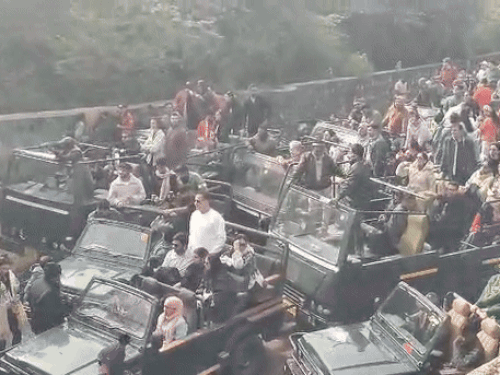 Ranthambore Tiger Safari Sees 3200 Tourists on Holi