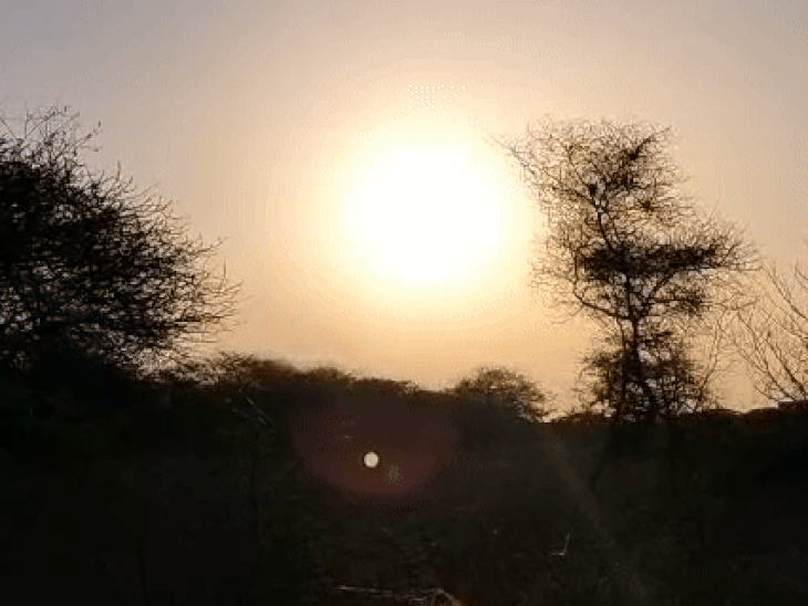 राजस्थान में होली-धुलंडी पर गर्मी और बढ़ेगी:बाड़मेर के बाद अब फतेहपुर में पारा 35 डिग्री पार; जानिए- पूरे हफ़्ते कैसा रहेगा मौसम