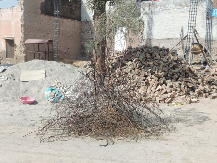 चूरू में होलिका दहन मध्यरात्रि 1.52 से 2.35 बजे तक:शुभ मुहूर्त और धार्मिक मान्यताओं के अनुसार मनेगी होली